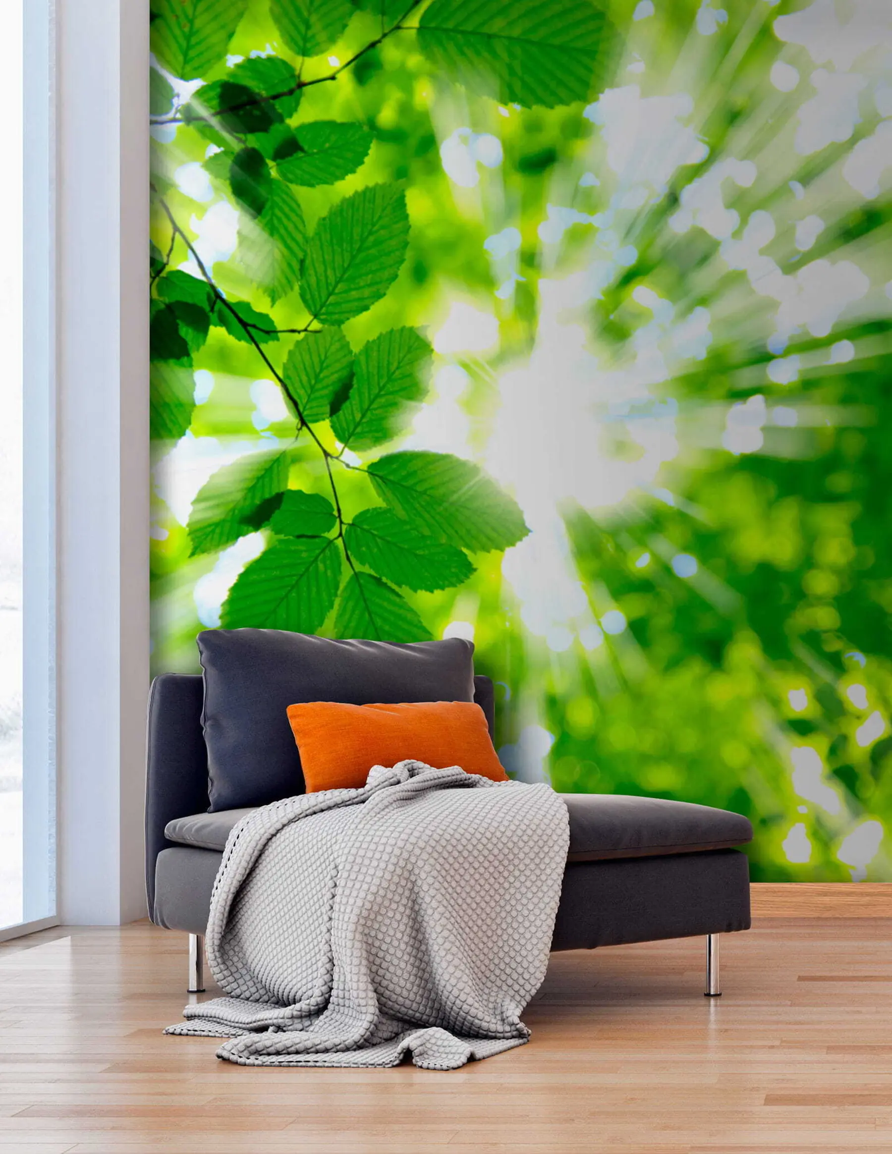 Шпалери Промені сонця крізь зелене листя u54862