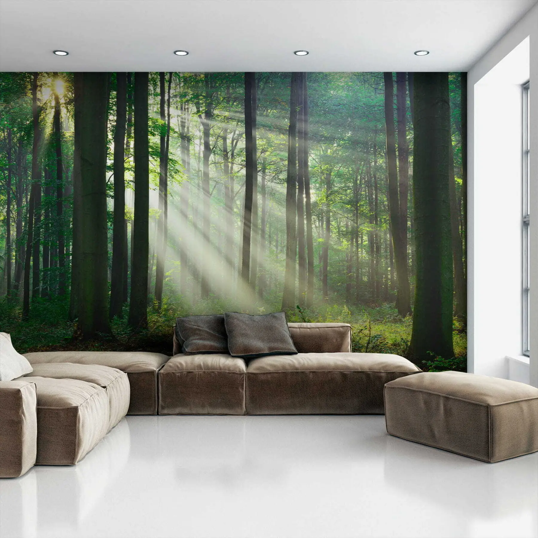 Шпалери Сонячний ліс u56787