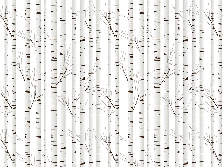 Шпалери Березовий ліс u58973