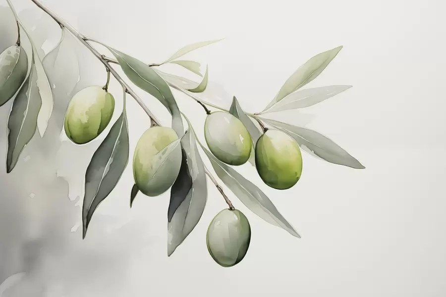 Шпалери Гілка з зеленими оливками мокра акварель w02042