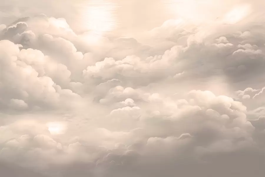 Шпалери Хмари в кольорі сепії w02189