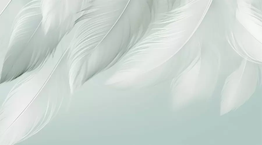 Шпалери Біле пір'я w03833