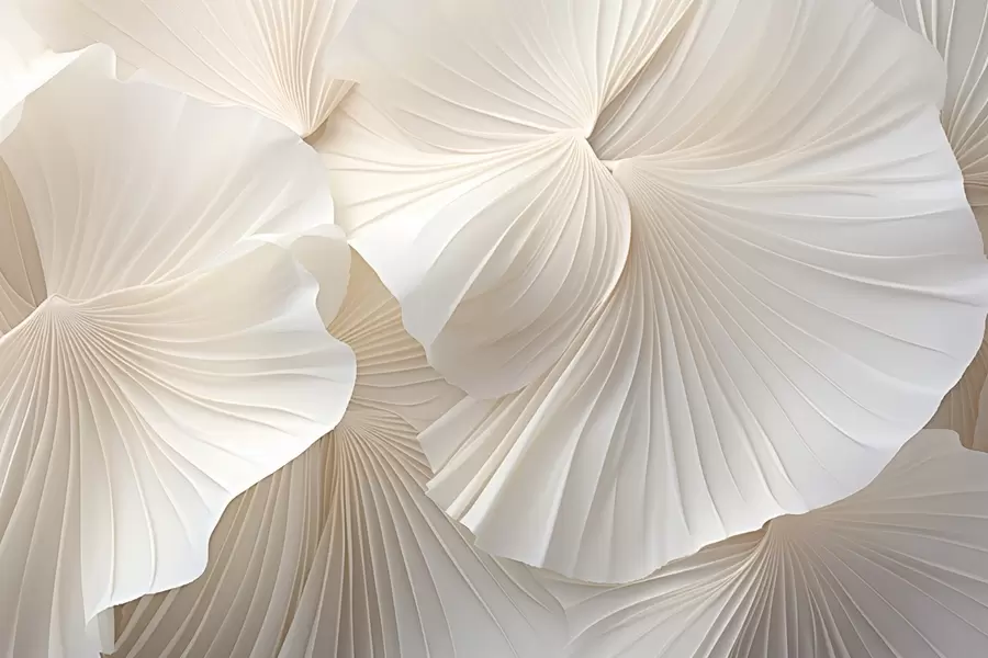 Шпалери пелюстки, квіти, білий, кремовий, текстура, ніжність, декоративний w04216