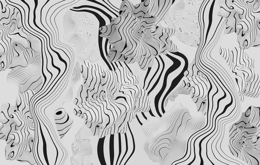 Шпалери абстрактні органічні форми в 3D-стилі в білих і сірих тонах з чорними смугами w04627