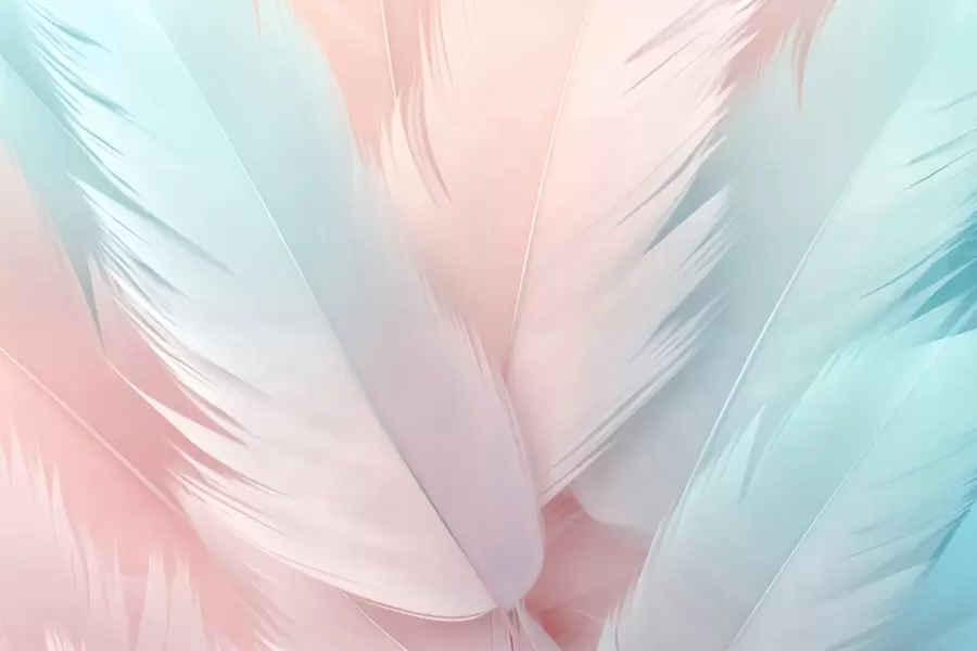 Шпалери Пір'я w04808