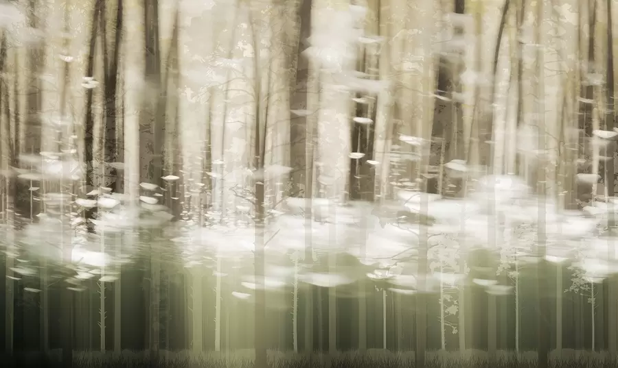 Шпалери Стилізовані стовбури дерев у пастельних кольорах w04844