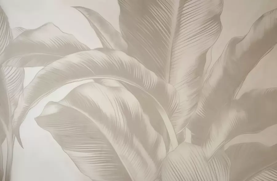 Шпалери Довгі листя, бананові листя зі зношеним ефектом w04827