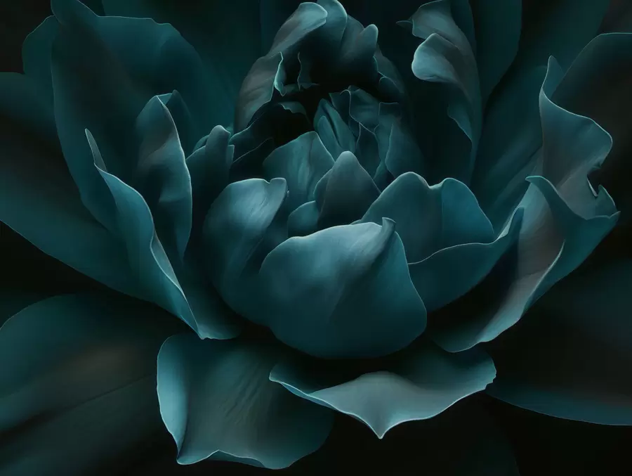 Шпалери Шепіт пелюсток w05040