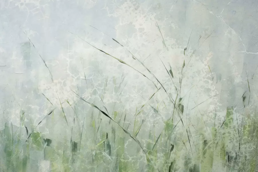 Шпалери Легкість трави w05176