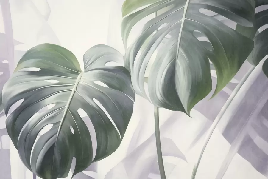 Шпалери Текстуровані листя монстери великі та зелені, на м'якому, світлому абстрактному тлі w09477