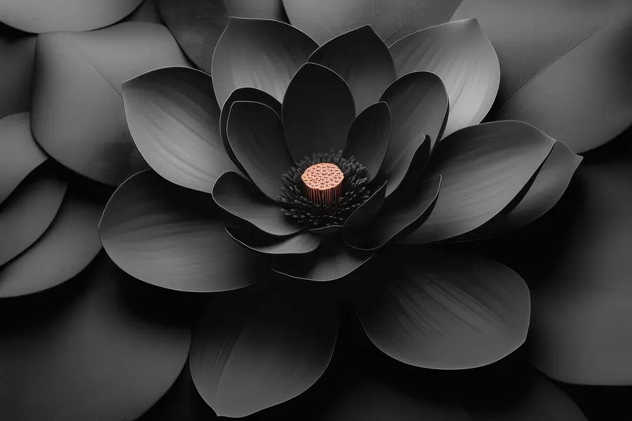 Шпалери Мінімалістична чорна квітка з пелюстками та контрастною теплою серединкою w09721