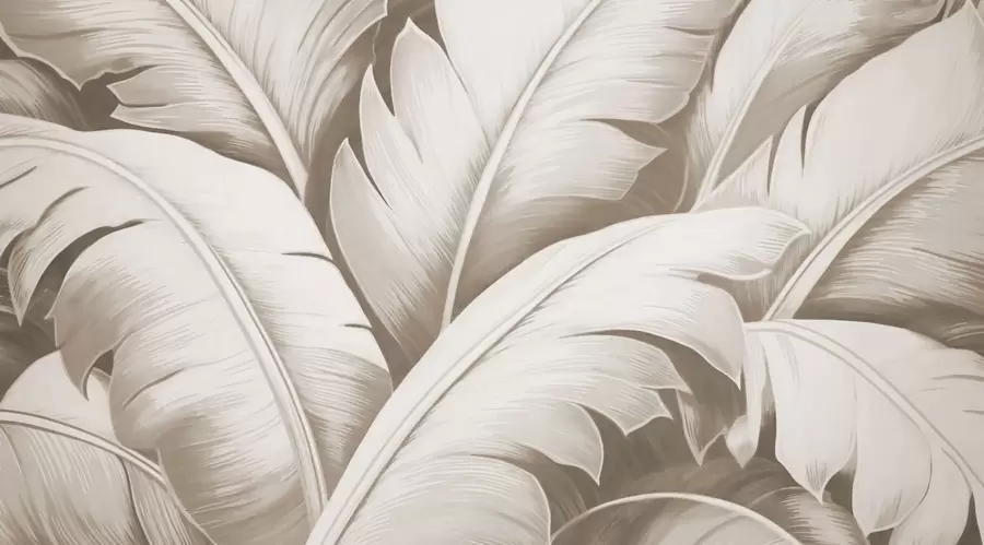 Шпалери Велике бананове листя w04991