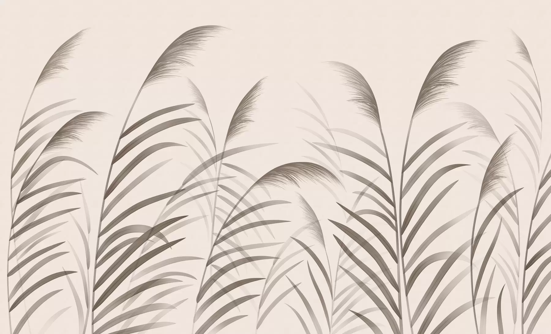 Шпалери Мінімалістичні силуети з очерету в бежевих тонах w05432